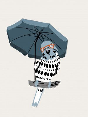 Stylish Budgie Under Umbrella