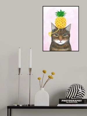 Pineapple Hat on the Cat