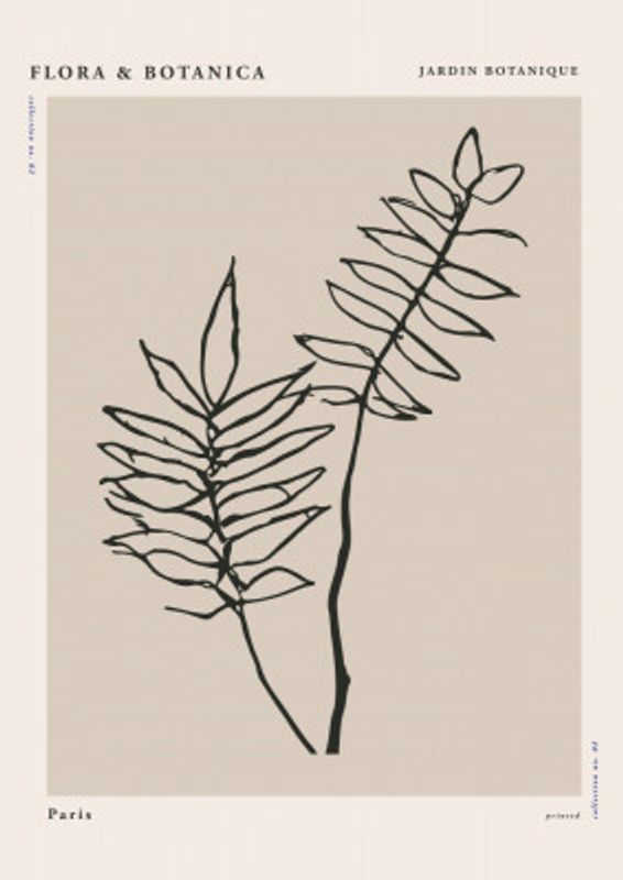 Florabotanicalineno02