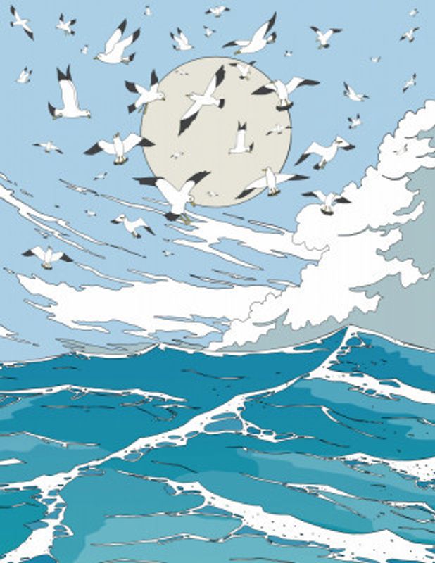 Seascape and Seagulls