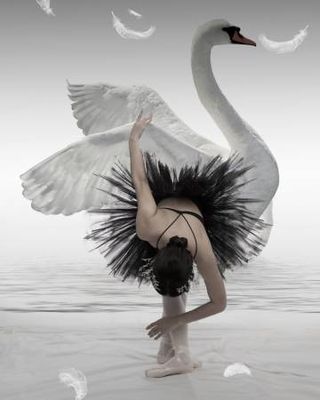 Swan Lake