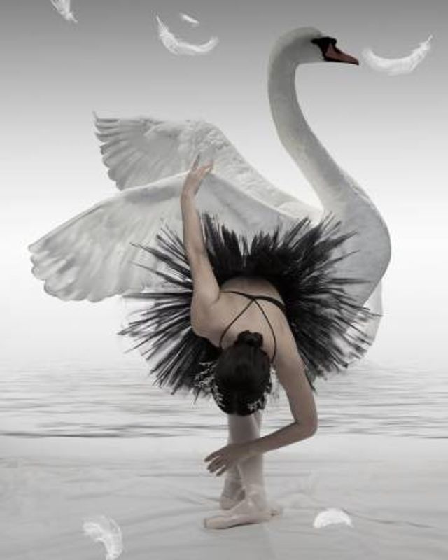 Swan Lake