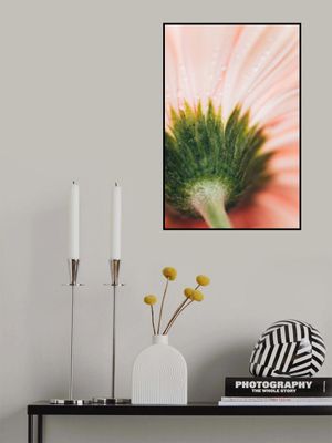 Green Sepals with Dewdrops