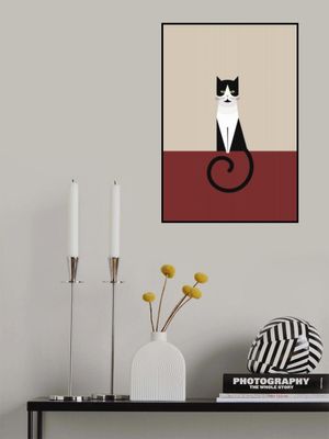 Coco as a geometric cat