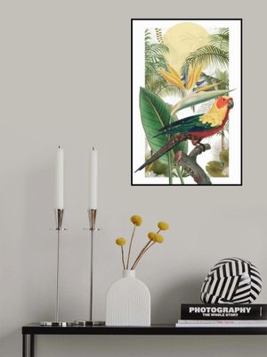 The Tropical Parrot