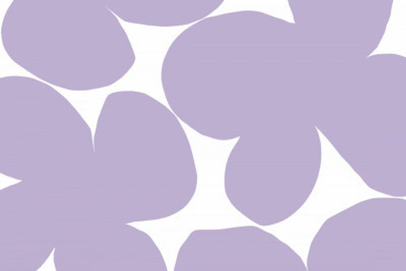 Lavender Petals Dream