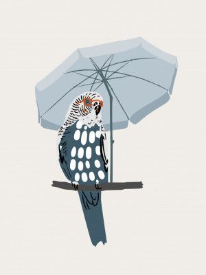 Cool Budgie Under Umbrella