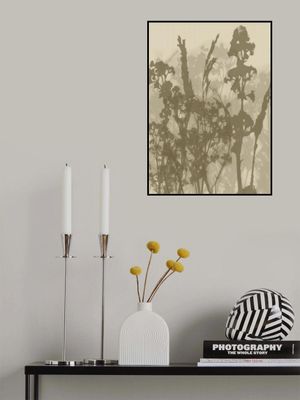 Misty Meadow. Abstract Botanical Art No.10