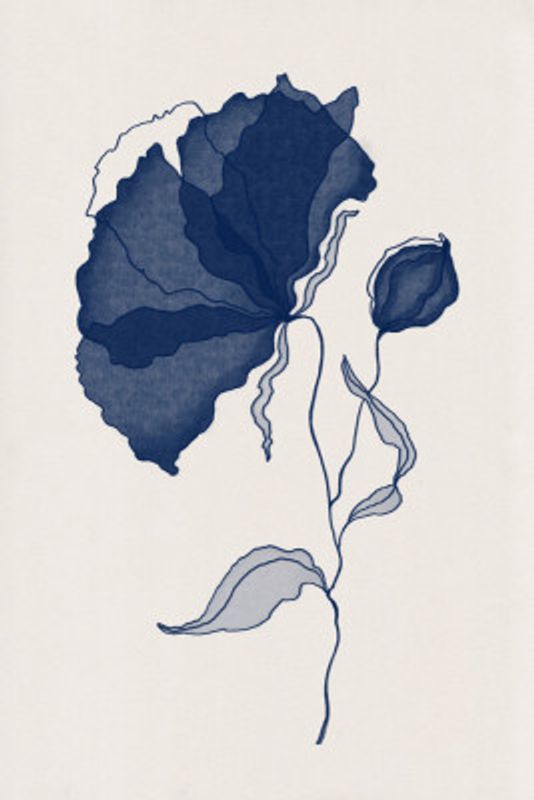 Delicate Blue Flower