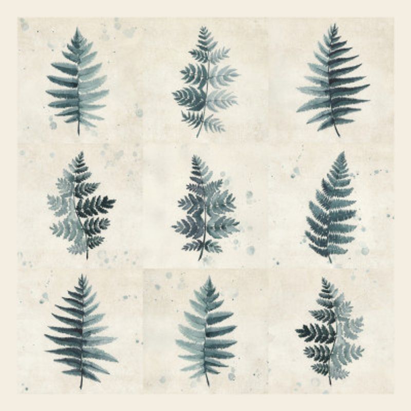 Nine ferns collage