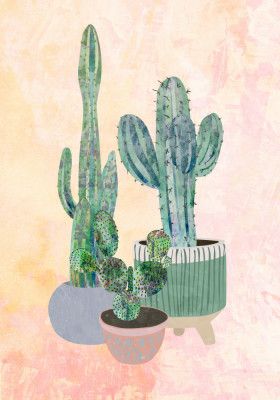 Boho Cactus Trio
