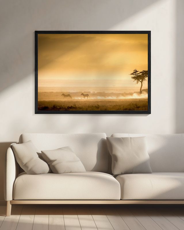 Training, because the lions await.