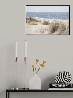 Serene Beach Dunes