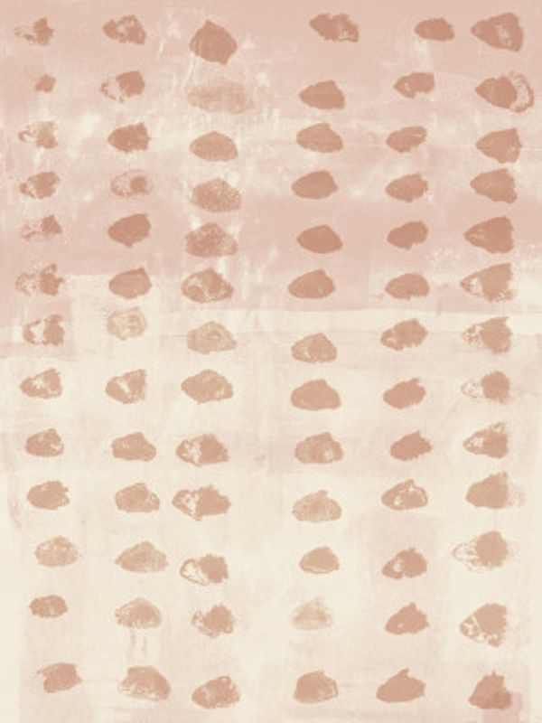 Rustic Pattern in Light Terra on Pink and White