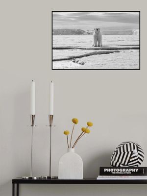 Welcome to my glacier