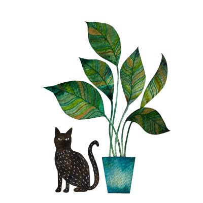Black Cat With Houseplant