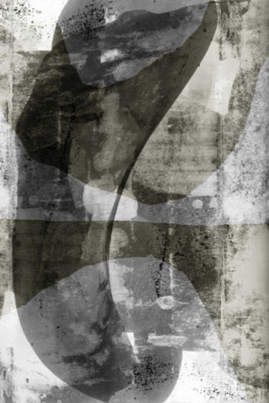 Echoes in Monochrome