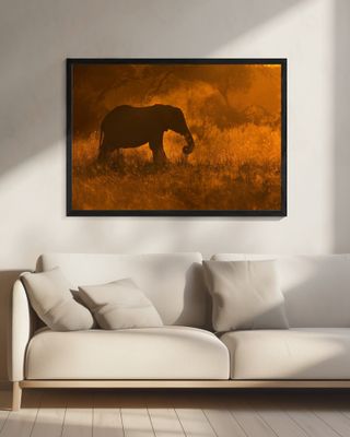 Golden Elephant in Savute