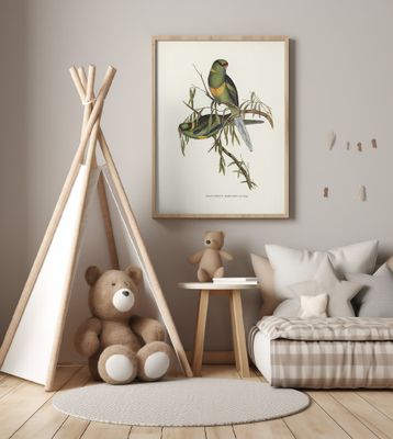 Black Tailed Parakeet