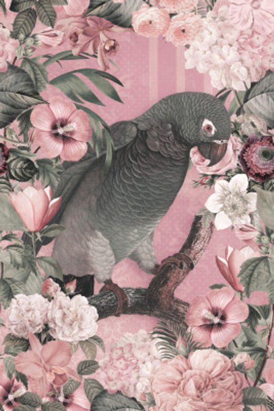 The Parrots Paradise Garden 3 Pastel Pink