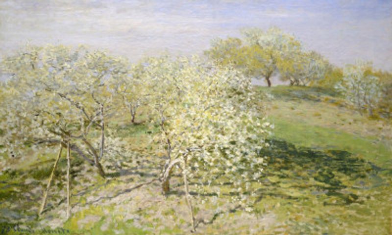 Spring (fruit Trees In Bloom) (1873) By Claude Monet