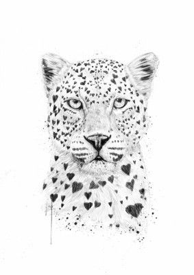 Lovely leopard