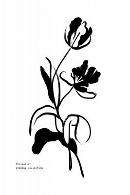 Minimalistdrawingcollection