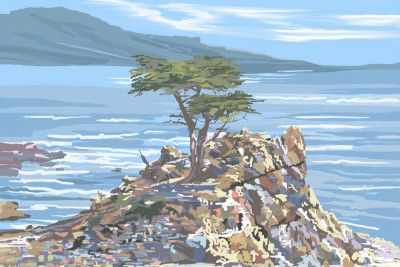 Quiet Sentinel, 17 Mile Drive, California, USA