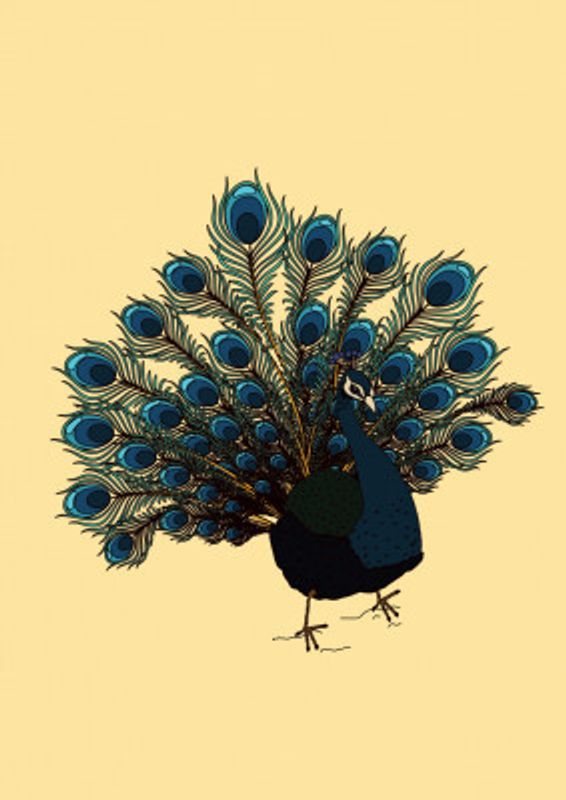 Peacock