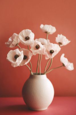 Poppies in Porcelain