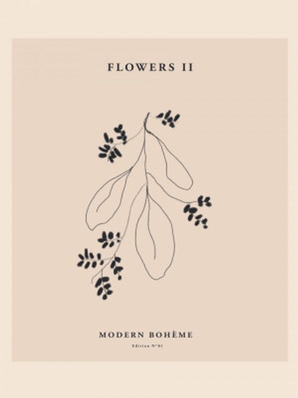 Minimalist Flora