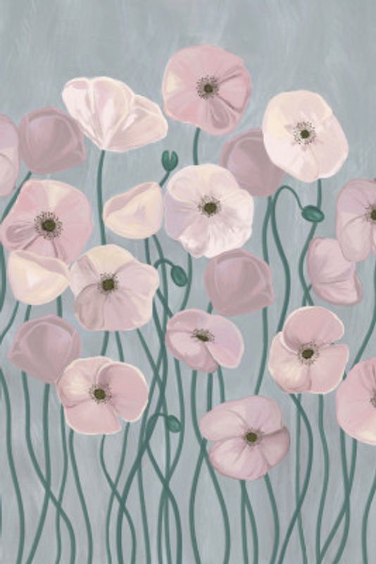Light Poppies
