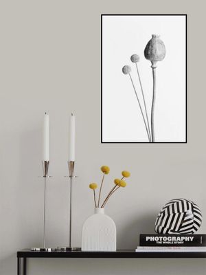 Poppy Seed Capsule Black and White