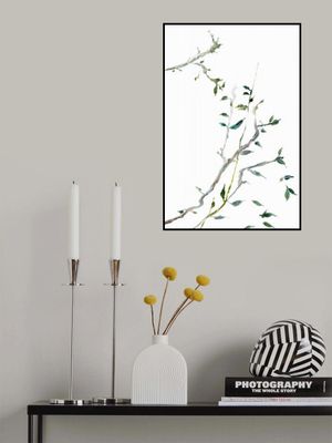 Botanical Branches No2