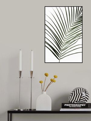 Vibrant Green Palm Leaf