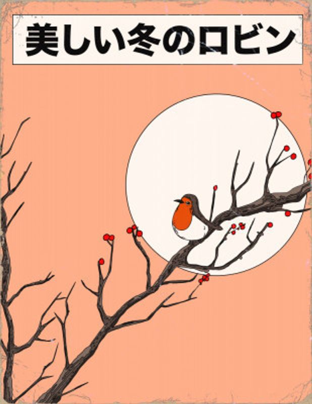 Beautiful Little Robin