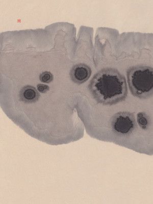 Study N°7 | Epidermis