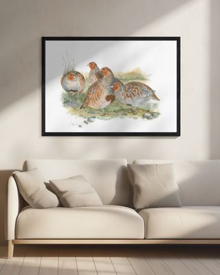 Gathering of Partridges