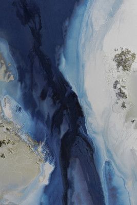 Beach House Art -  Marine Majesty  1