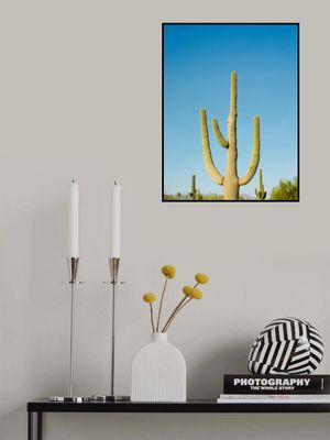 Tucson Arizona III on Film