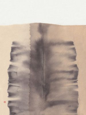 Study N°2 | Medulla