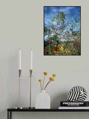 Wild In the Country (2)