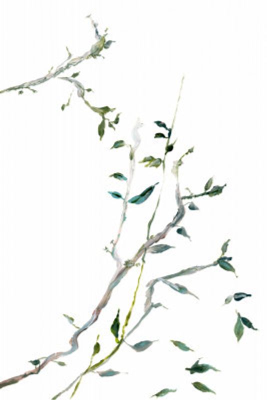 Botanical Branches No2