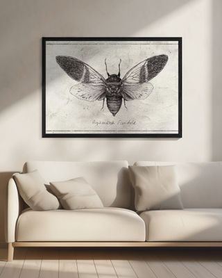 Insect Illustration