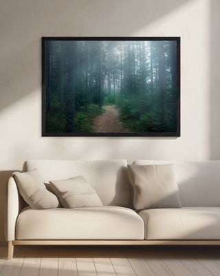 The forest of secrets