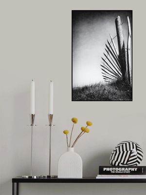 No (of)fence in the dunes