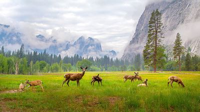 A Feeling of Ancient Time