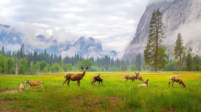 A Feeling of Ancient Time