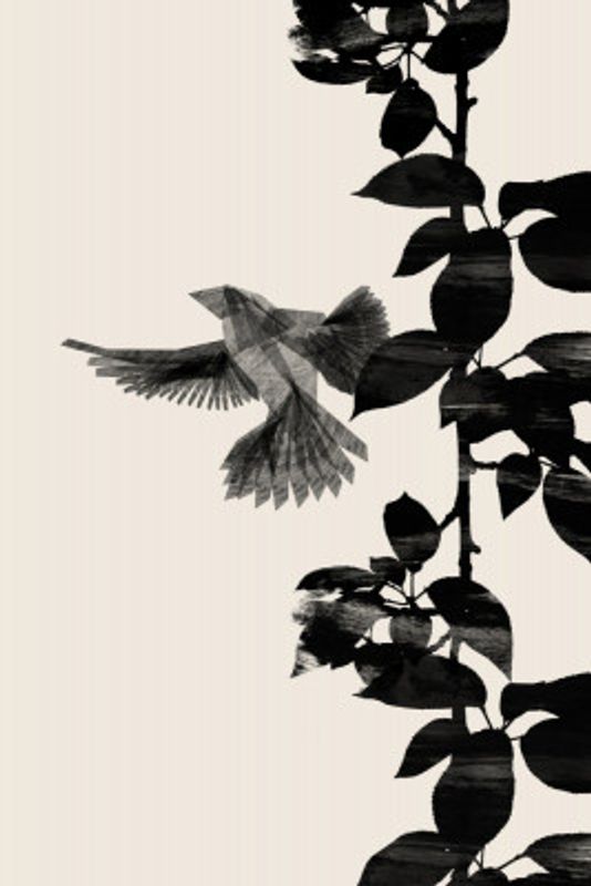 Bird Botanical a 20x30