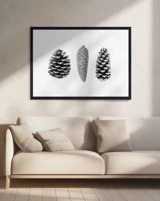 Pine Cone Study